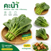 Kale - 250 grams / bunch