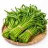 ကန်စွန်းရွက် – အဆင့် A