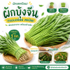 ผักบุ้ง – เกรด A - 1kg