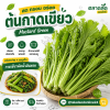 Mustard Green - 1kg