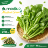 Mustard Green - 250g