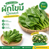 ผักโขม - 1kg