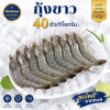 กุ้งขาว – ไซส์ S40