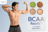 BCAA คืออะไร? สารอาหารลับ คนอยากมีกล้าม หาง่ายใกล้ตัวคุณ