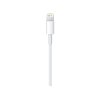 Apple Lightning to USB Cable (2M) ITS