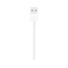 Apple Lightning to USB Cable (1 m)