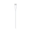 Apple USB-C to Lightning Cable (1m)