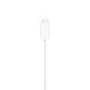 Apple Watch Magnetic Woven Fast Charger to USB-C Cable (1 m)