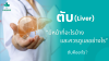ตับคืออะไร ตับคืออะไร