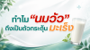 ดื่มนมวัว เสี่ยงมะเร็งจริงหรือ? ดื่มนมวัว เสี่ยงมะเร็งจริงหรือ?
