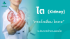 ภาวะไตเสื่อม ไตวาย หรือโรคไตเรื้อรัง (Chronic Kidney Disease - CKD)