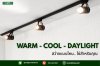 Warm / Cool / Daylight — แสงแบบไหนใช่สำหรับคุณ? Warm / Cool / Daylight — แสงแบบไหนใช่สำหรับคุณ?