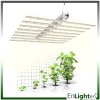 ไฟปลูกต้นไม้ LED GROW LIGHT BAR l foldable bar series Enlighten