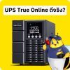 UPS True Online ดีจริง?