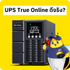 UPS True Online ดีจริง? UPS True Online ดีจริง?