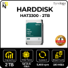 Synology HAT3300-2T