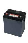 DeNA T-875