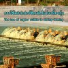 The use of copper sulfate in shrimp farming