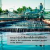 Wastewater Treatment,ระบบบำบัดน้ำเสีย Wastewater Treatment,ระบบบำบัดน้ำเสีย