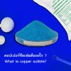 คอปเปอร์ ซัลเฟต คือ,คอปเปอร์ ซัลเฟต สูตรเคมี,คอปเปอร์ ซัลเฟต คุณสมบัติ,copper sulfate คืออะไร คอปเปอร์ ซัลเฟต คือ,คอปเปอร์ ซัลเฟต สูตรเคมี,คอปเปอร์ ซัลเฟต คุณสมบัติ,copper sulfate คืออะไร