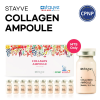 STAYVE Collagen Ampoule