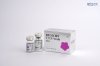 [PRE-ORDER] Reglory EXO+ Hair (Exosome)