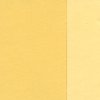 Holbein Oil Color Artist Grade : Naples Yellow