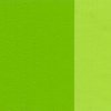 Holbein Oil Color Artist Grade : Permanent Green Light
