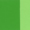 Holbein Oil Color Artist Grade : Permanent Green Pale