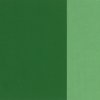 Holbein Oil Color Artist Grade : Cadmium Green