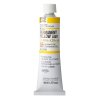 Holbein Oil Color Artist Grade : Permanent Yellow Light