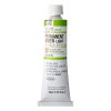Holbein Oil Color Artist Grade : Permanent Green Light
