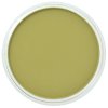 Golden Pan Pastel Colour : Bright Yellow Green Shade