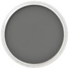 Pan Pastel : Neutral Gray Extra Dark 2/ Golden Acrylics Color 9 ml