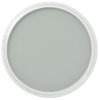 Golden Pan Pastel Colour : Neutral Gray