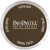 ตลับสีพาสเทล Raw Umber Shade / Golden Acrylic Colors 9ml