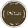 ตลับสีพาสเทล Raw Umber / Golden Acrylic Colors 9ml