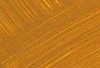Williamsburg Oil Paints : French Yellow Ochre Deep