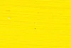 Williamsburg Oil Paints : Cadmium Yellow Light