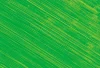 Williamsburg Oil Paints : Permanent Green Light