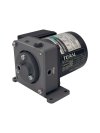 TERAL Oil Pump TRP-MS03L-DB, 200V