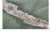 Crystal Jade