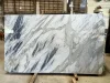 White Calacatta