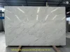 White Venus Galaxy