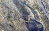 Azul Bahia