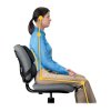 ที่รองหลัง Fellowes รุ่น Ultimate Back Support