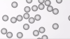 สารมาตรฐานขนาดและจำนวนอนุภาค Particle Size Standards and Count Controls