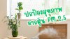 ปกป้องสุขภาพ จากฝุ่น ปกป้องสุขภาพ จากฝุ่น