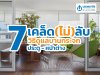 7 เคล็ด(ไม่)ลับ วิธีดูแลบานกระจกประตู-หน้าต่าง