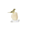 BIRD A